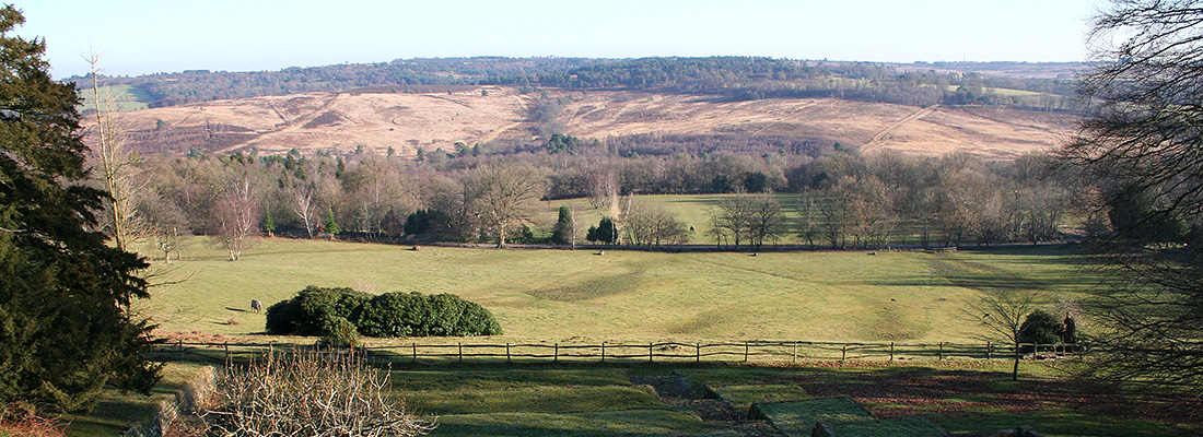 Pippingford Park from the Manor House - Offices to rent East Sussex